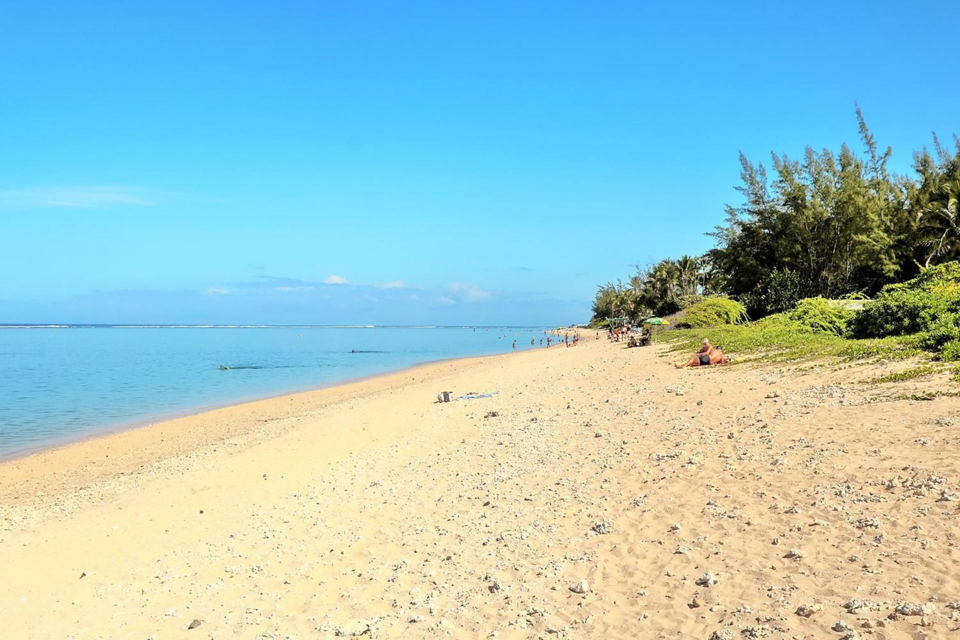 Exceptionnel ! Le Kazuarina, Tres Bel Apt F3 A 50M De La Plage De Ла-Салин-ле-Бен Экстерьер фото